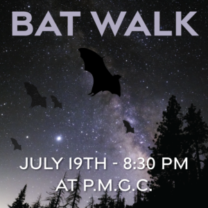 Read more about the article July 19 – Bat Walk