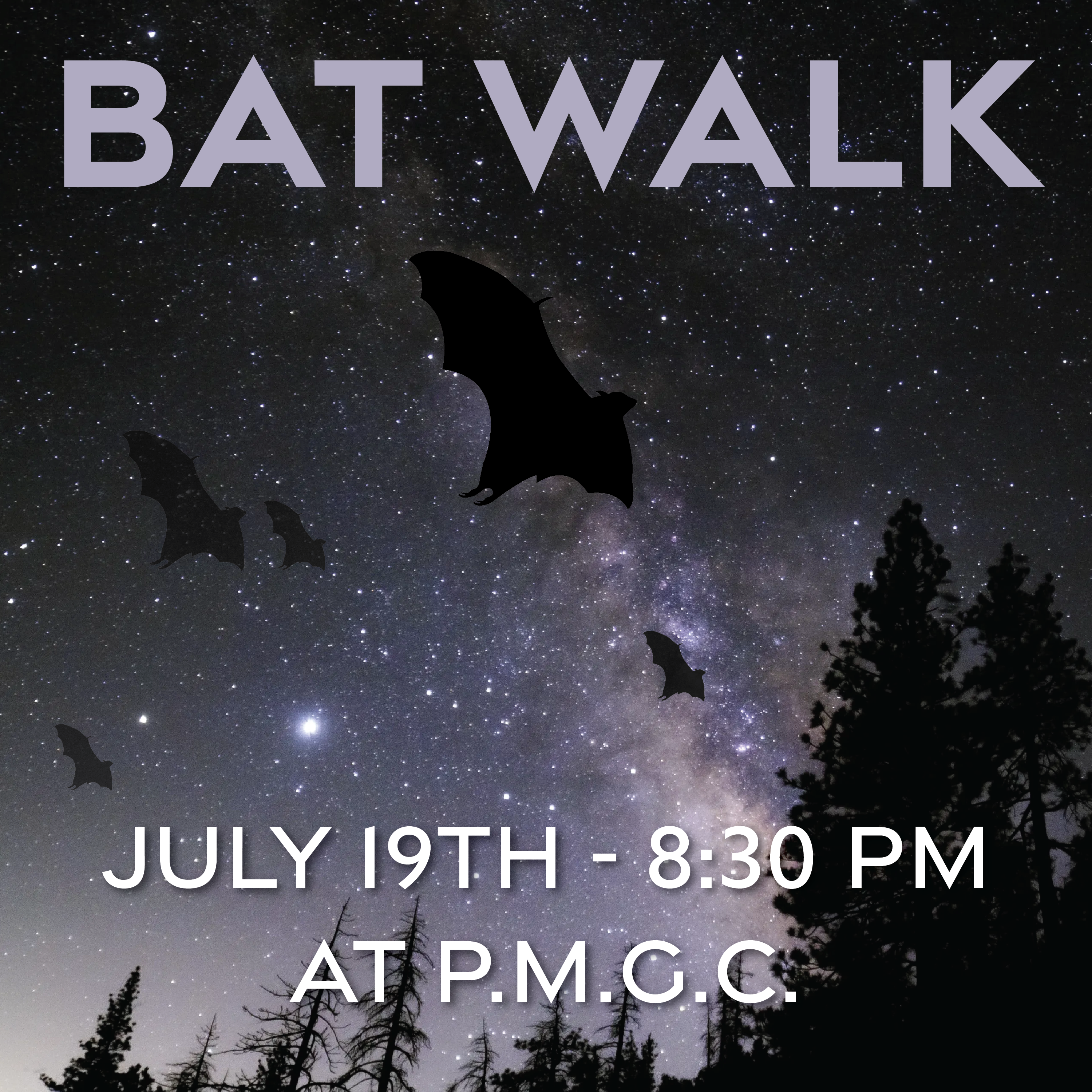 You are currently viewing July 19 – Bat Walk